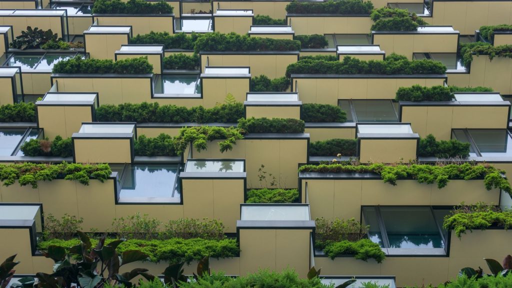 30-1024x576 Sürdürülebilir mimari: Doğayla konuşan evler