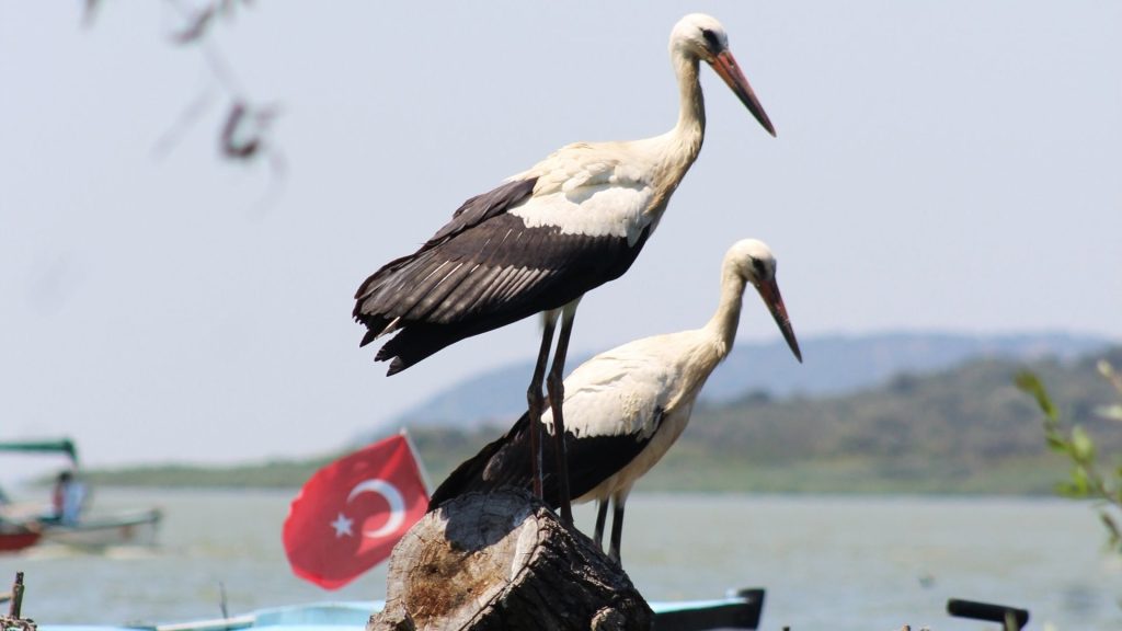 Golyazi-1-1-1024x576 Tarihle iç içe 5 sessiz balıkçı kasabası